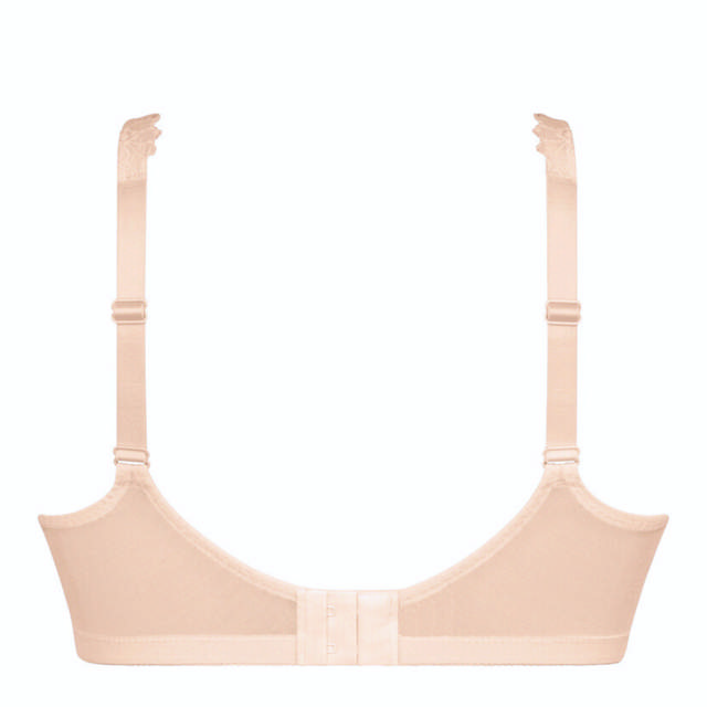 Eloise Protes-bh Rose