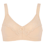 Import100596