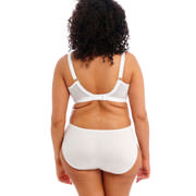 DETAIL63821
