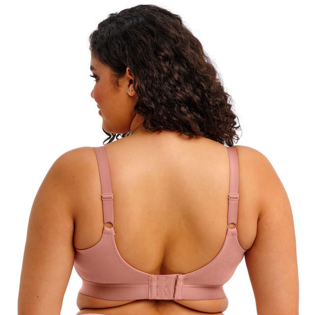 Downtime Bh Utan Bygel Ash Rose