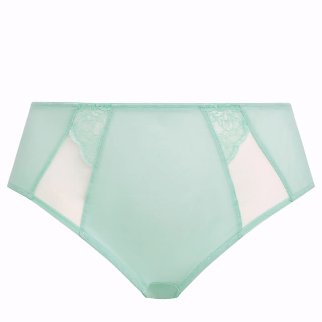 Brianna Full Brief Frozen