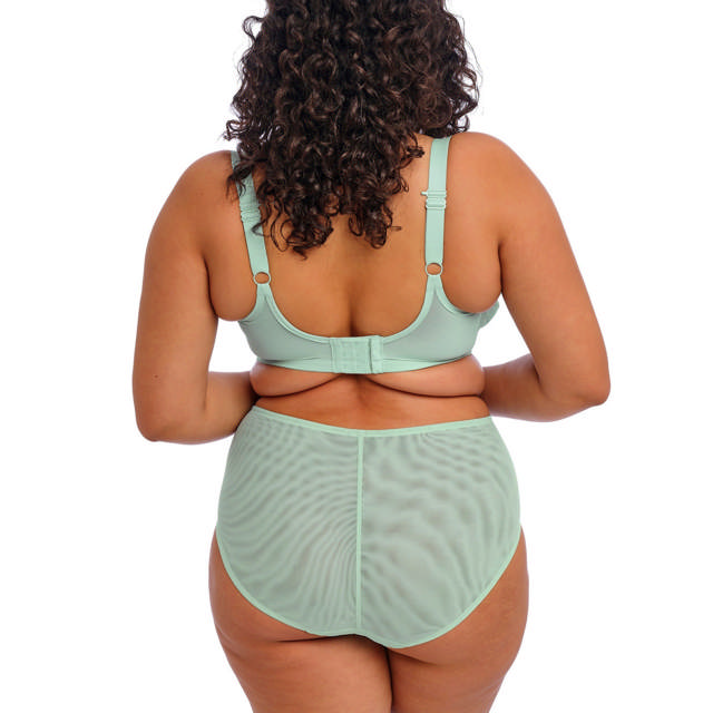 Brianna Full Brief Frozen