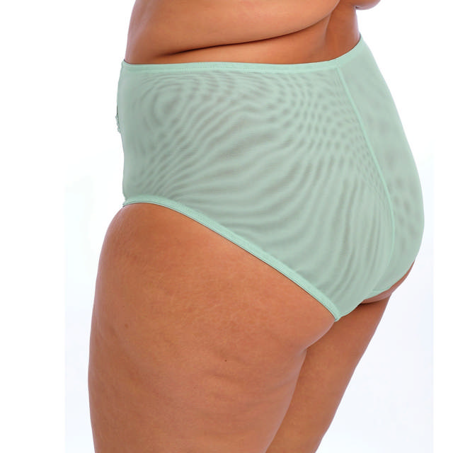 Brianna Full Brief Frozen