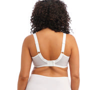 DETAIL63881