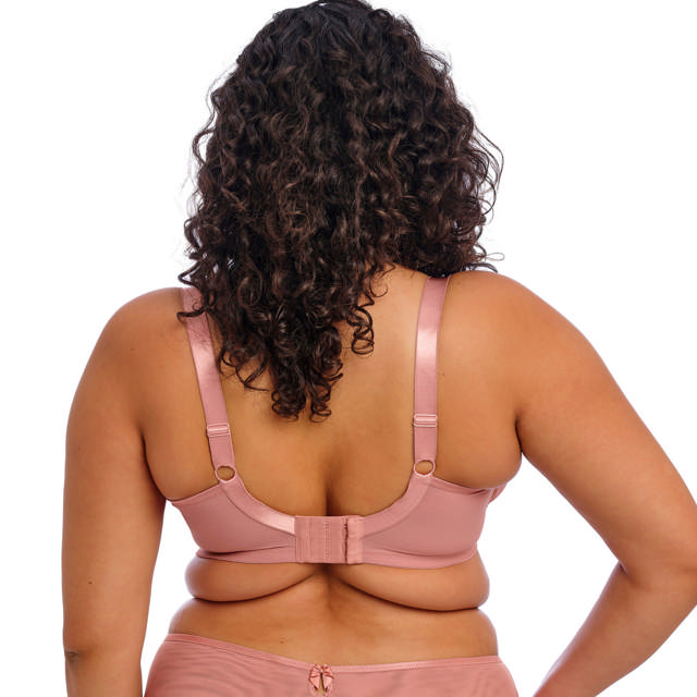 Teagan Plunge Bh Ash Rose