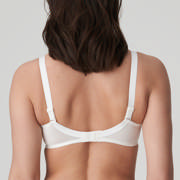 DETAIL50830