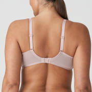 DETAIL51443