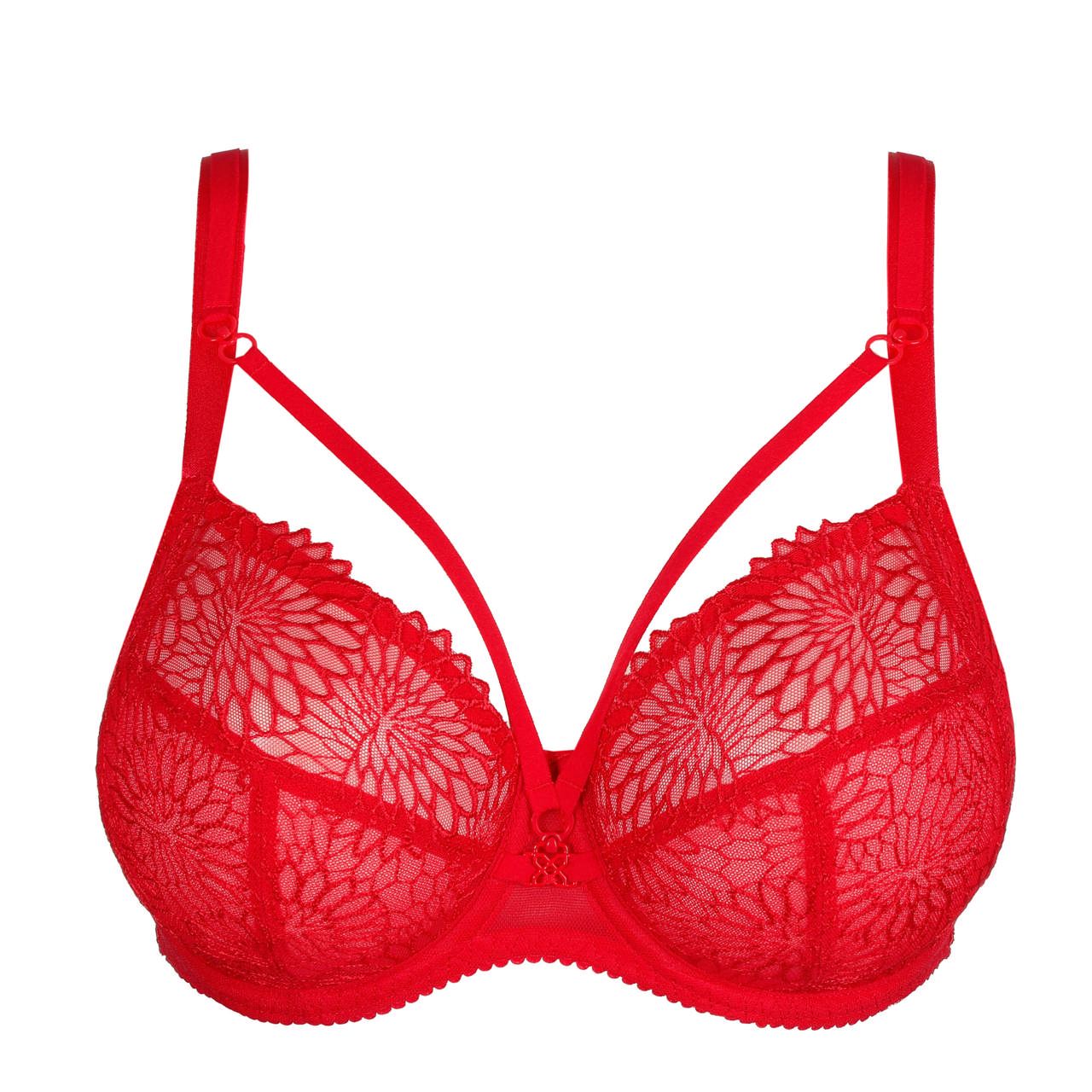 Sophora Helkupa F-H Kupa True Red