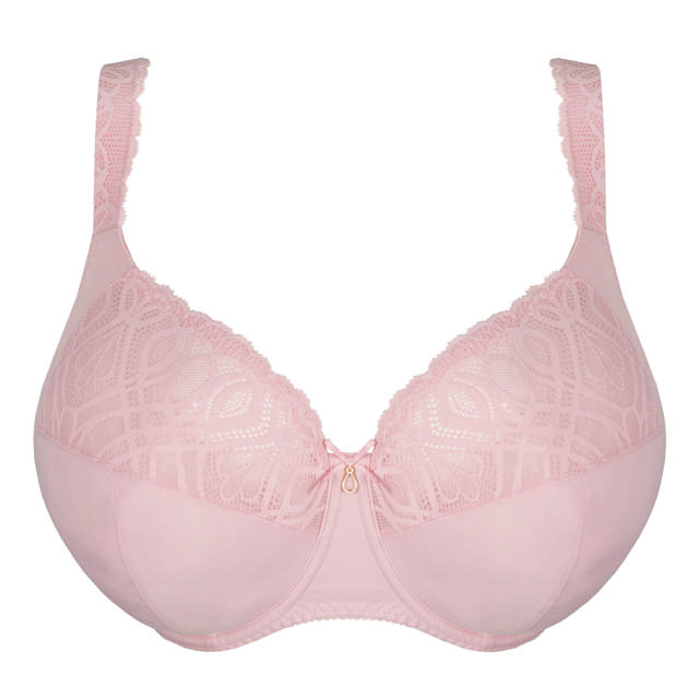 Salerno Helkupa I-M Kupa Spring Rose