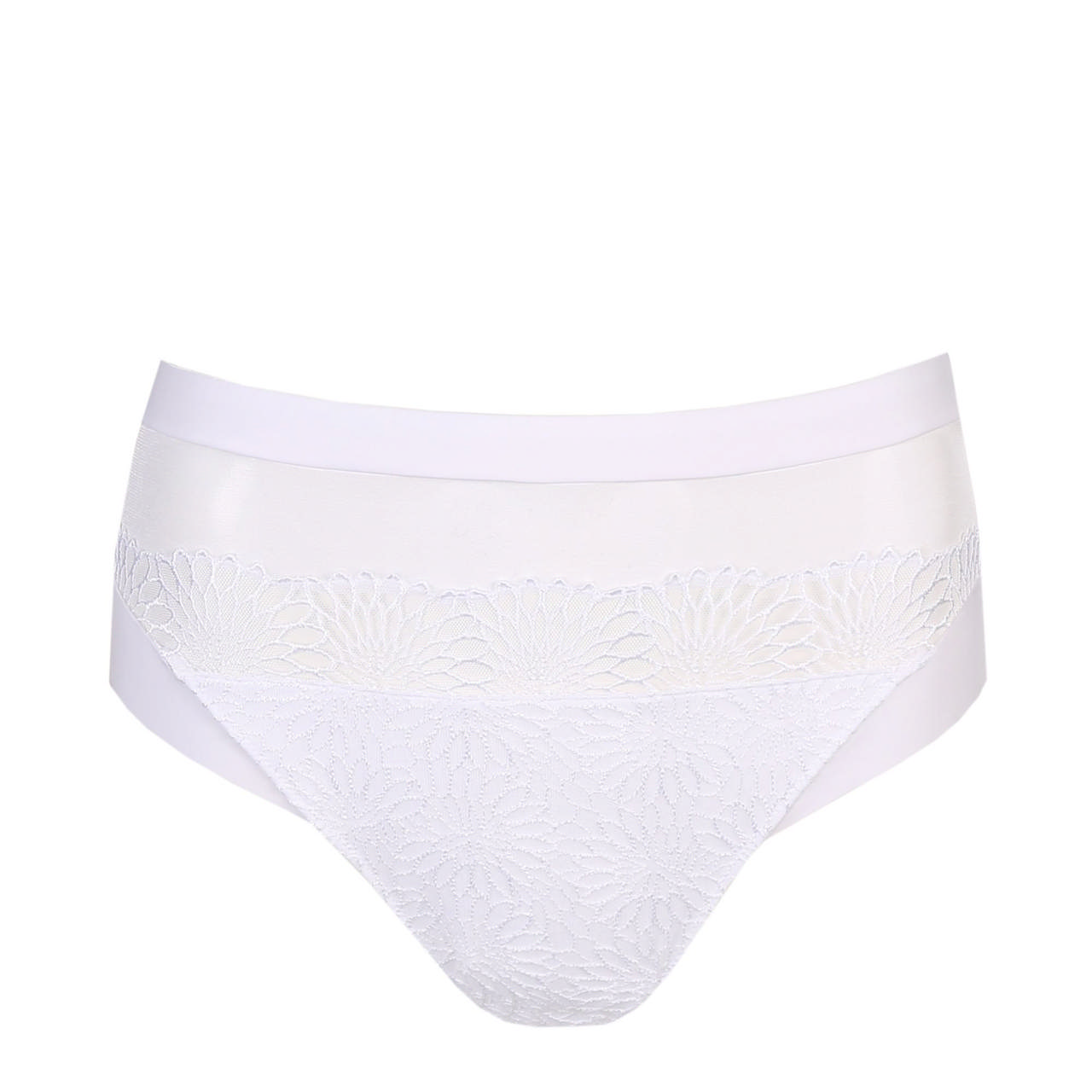 Sophora Trosa Maxi White