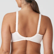 DETAIL51532