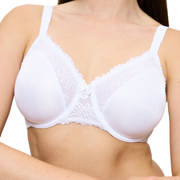 DETAIL54436