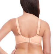 DETAIL62614