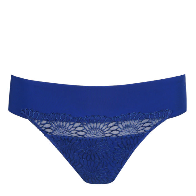 Sophora String Blue Print