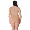 Charley Spacer bh Fawn