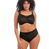 Kelsey High Leg Brief Black