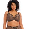 Matilda Plunge Bh Leopard
