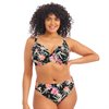 Dark Tropics Bikini Bh Plunge  Dark Tropics