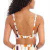 Shell Island Bikini top High Apex Multi