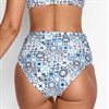 Chara bikinitrosa Vik Artisan
