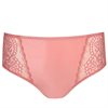 PrimaDonna-i-do-maxitrosa-sunset-melba-221202-0541601sme_6.jpg