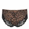 Madison Hotpants Bronze